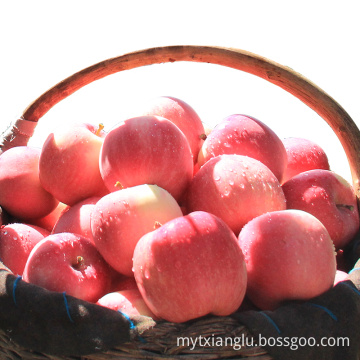 red apple fresh apple fresh fruit China fuji apples